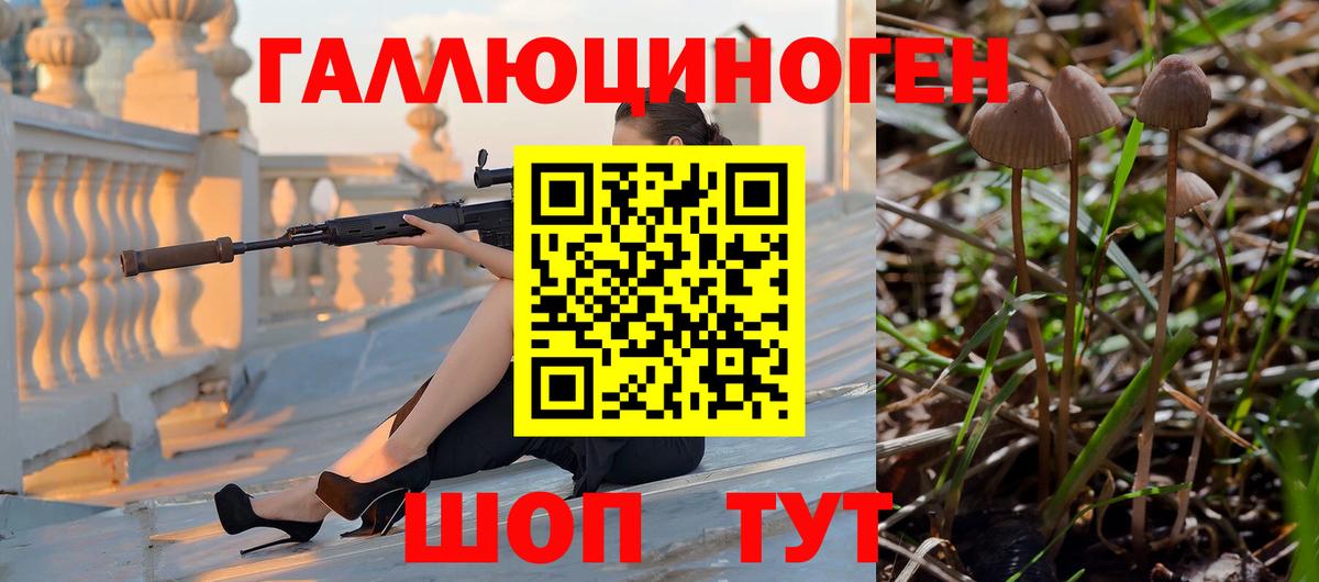 Псилоцибиновые грибы мицелий Чапаевск